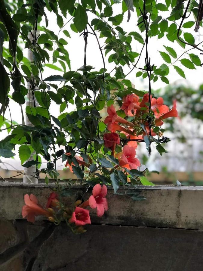 Hidden Hue Homestay Esterno foto