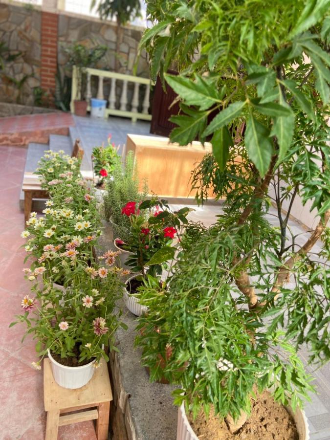 Hidden Hue Homestay Esterno foto