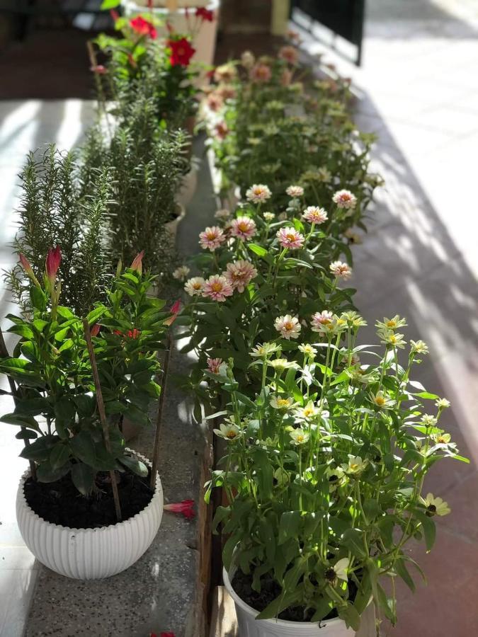 Hidden Hue Homestay Esterno foto