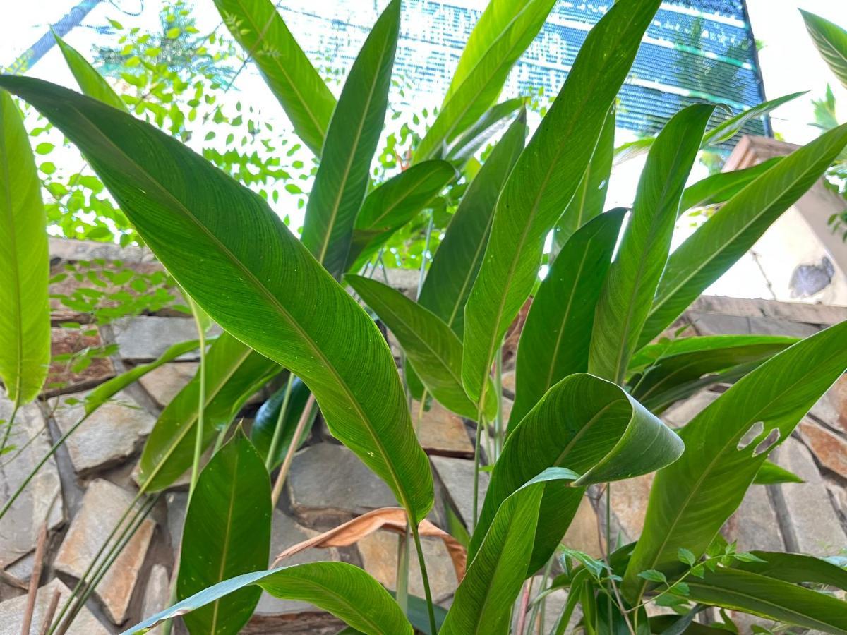 Hidden Hue Homestay Esterno foto